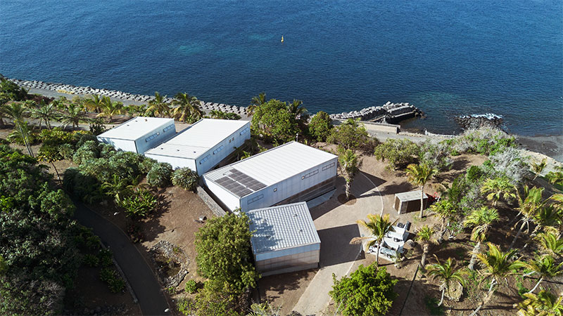  arquitectura y empresa equipo olivares jorge diaz estudio Palmetum de Santa Cruz