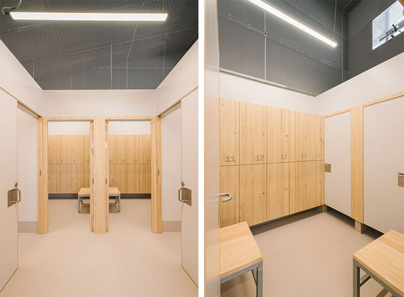  arquitectura y empresa equipo olivares jorge diaz estudio Palmetum de Santa Cruz