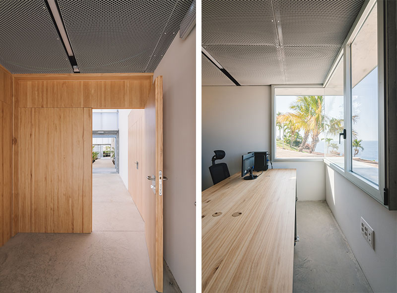  arquitectura y empresa equipo olivares jorge diaz estudio Palmetum de Santa Cruz