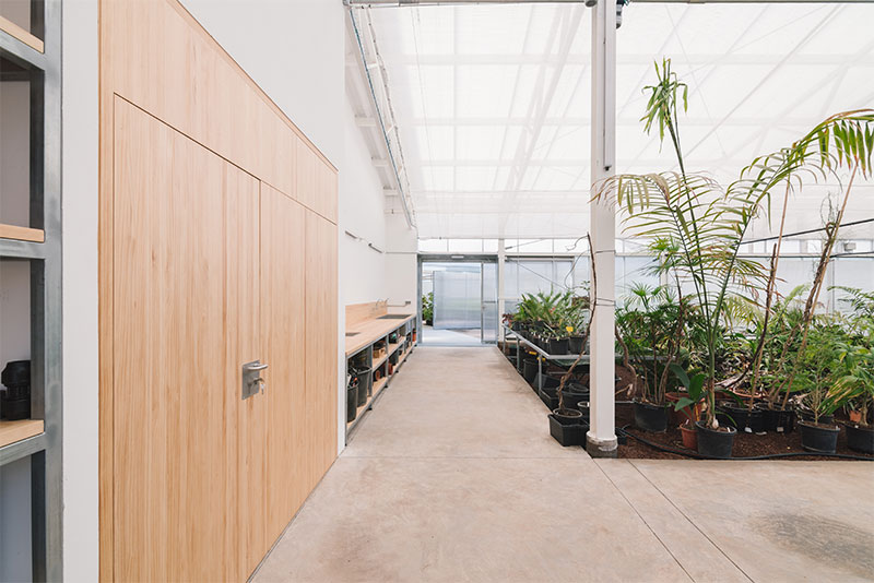  arquitectura y empresa equipo olivares jorge diaz estudio Palmetum de Santa Cruz