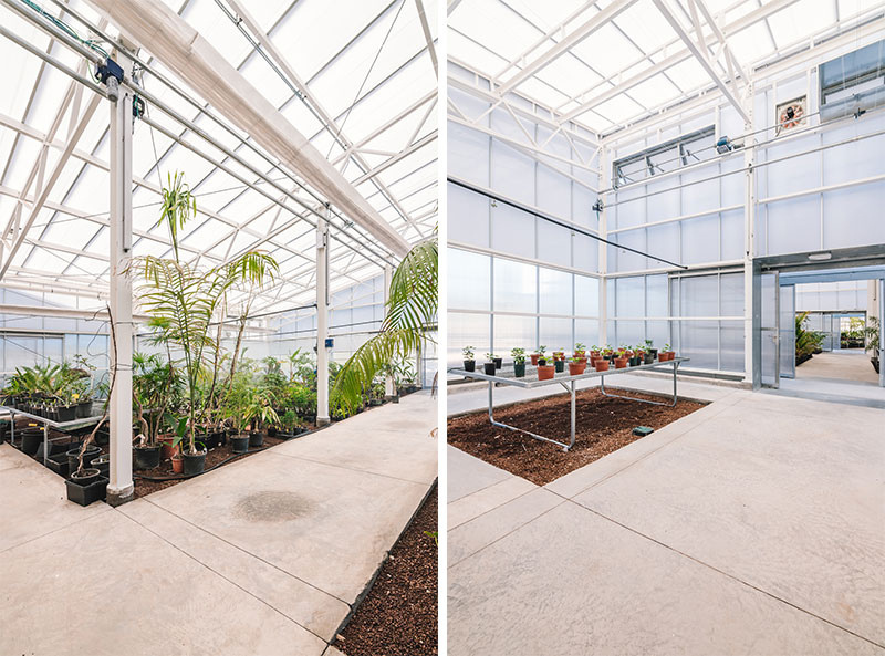  arquitectura y empresa equipo olivares jorge diaz estudio Palmetum de Santa Cruz