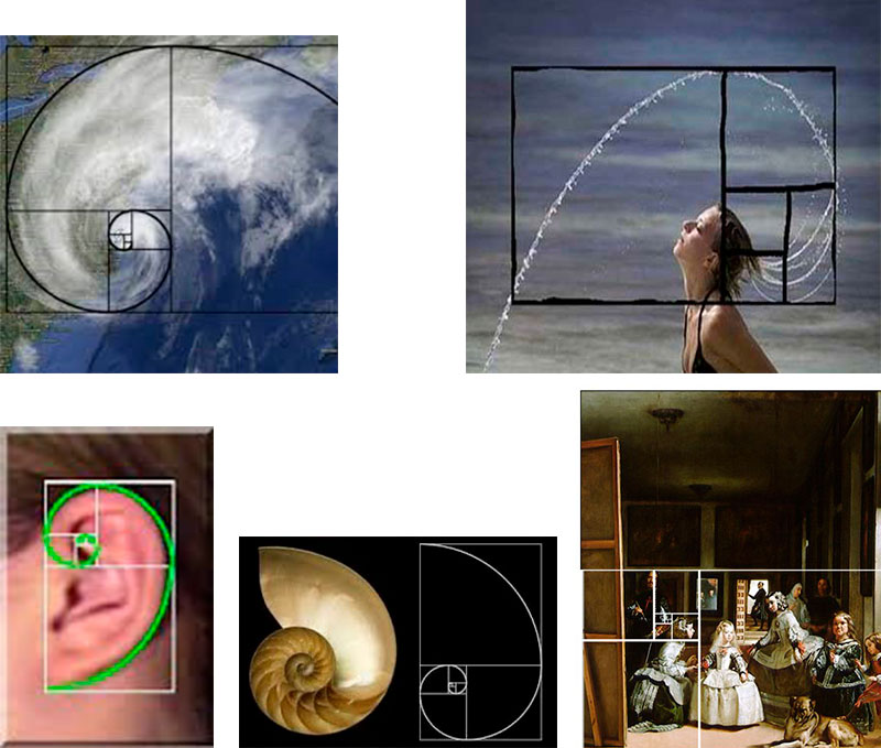  arquitectura y empresa opinion jose manuel sanz consejos arquitectos