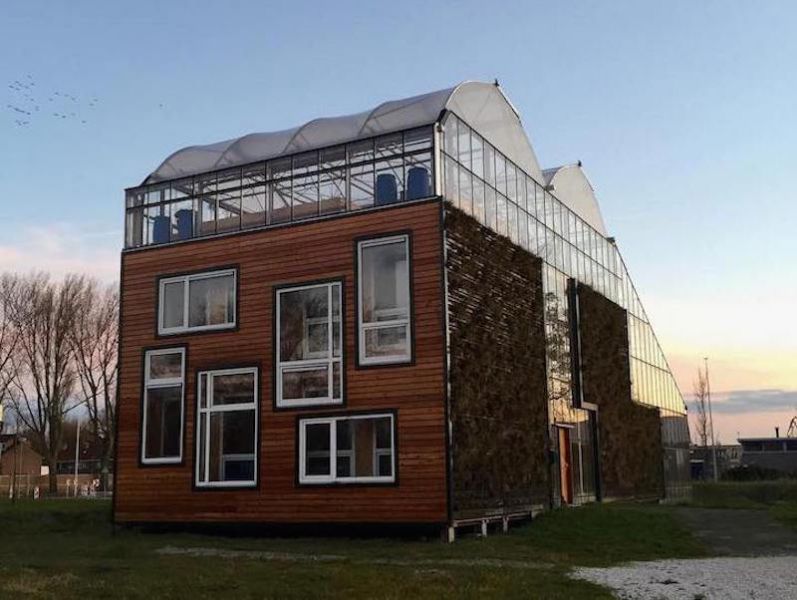 arquitectura_cubierta huerto_proyecto Rotterdam