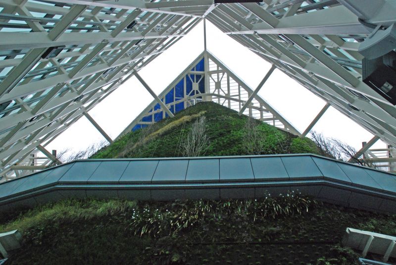 arquitectura verde_Patrick Blanc_Torre de cristal1