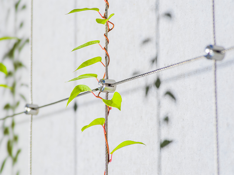 Arquitectura y Empresa, arquitectura, ARC316, sostenibilidad, arquitectura sostenible, fachadas verdes, arquitectura verde, acero inoxidable, GREENCABLE LIGHT, GREENCABLE HEAVY, sistema I-SYS, cables de acero inoxidable, sistemas flexibles, sistema personalizable, envolvente, ciudades sostenibles, Erforderlich, May Landschaftsbau, Baldauf und Baldauf