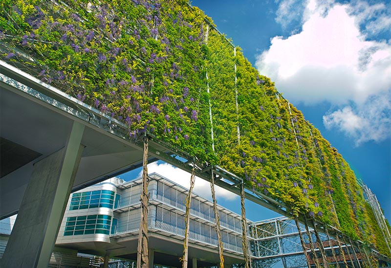 Arquitectura y Empresa, arquitectura, ARC316, sostenibilidad, arquitectura sostenible, fachadas verdes, arquitectura verde, acero inoxidable, GREENCABLE LIGHT, GREENCABLE HEAVY, sistema I-SYS, cables de acero inoxidable, sistemas flexibles, sistema personalizable, envolvente, ciudades sostenibles, Erforderlich, May Landschaftsbau, Baldauf und Baldauf