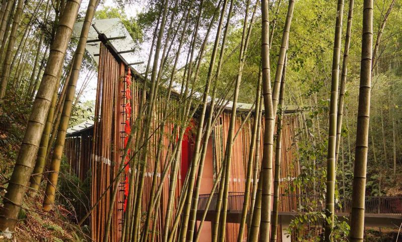 arquitectura_y_empresa_Bamboo gateaway_ puerta 2