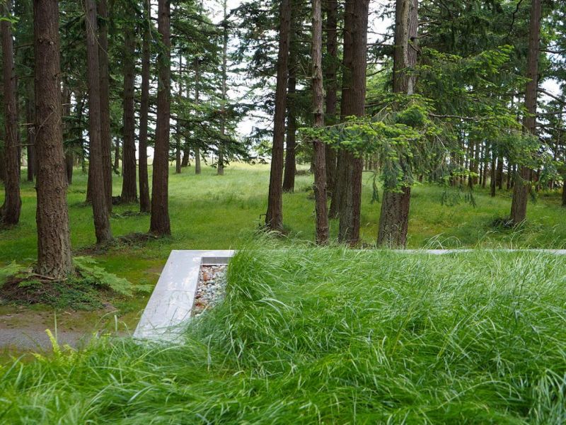 arquitectura_y_empresa_berger_detalle cubierta 