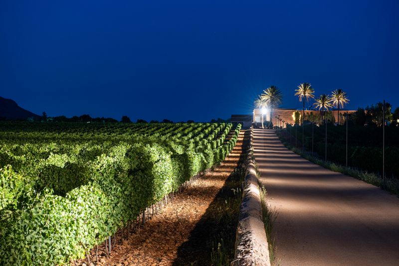 arquitectura_y_empresa_bodega_acceso noche