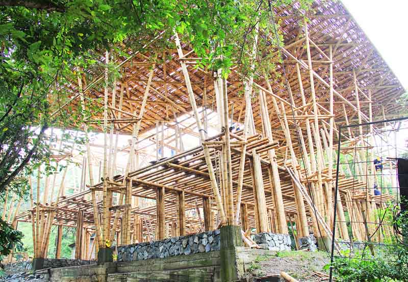Colegiodelasaguas_ Cali_estructura de guadua bambú