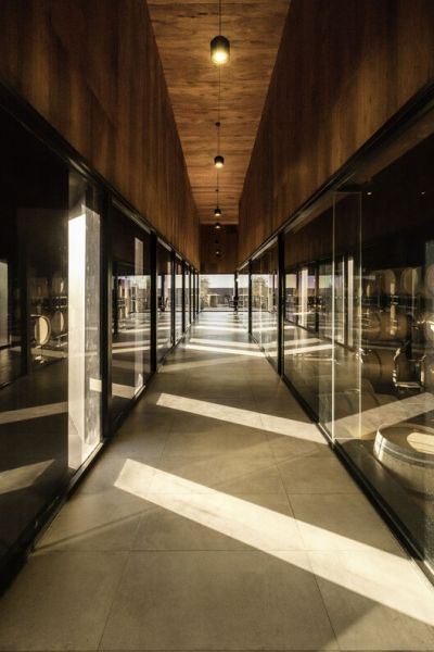 arquitectura_y_empresa_corazon del sol winery_corredor 