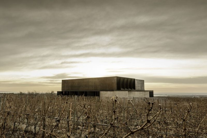 arquitectura_y_empresa_corazon del sol winery_entorno_