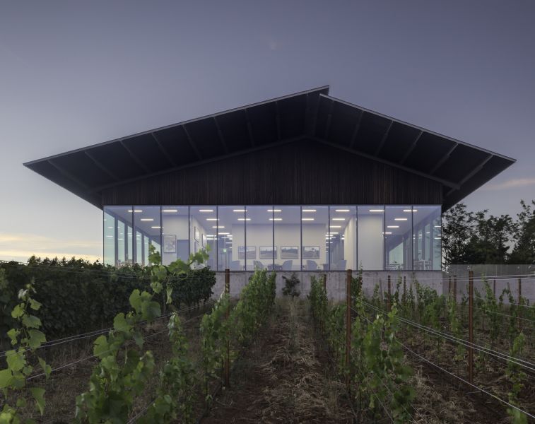 arquitectura_y_empresa_Furioso1 Wineyards_sala degustación