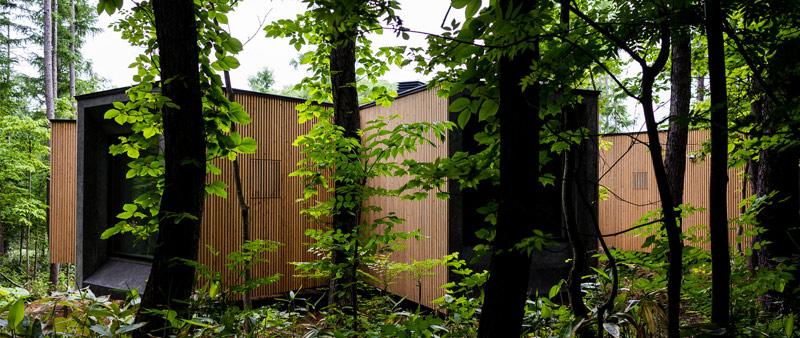 Arquitectura y Empresa, Florian Busch Architects, casa, vivienda, arquitectura resindencial, Japón, Japan, Casa en el Bosque, House in the Forest, naturaleza, conexión, casa de vacaciones