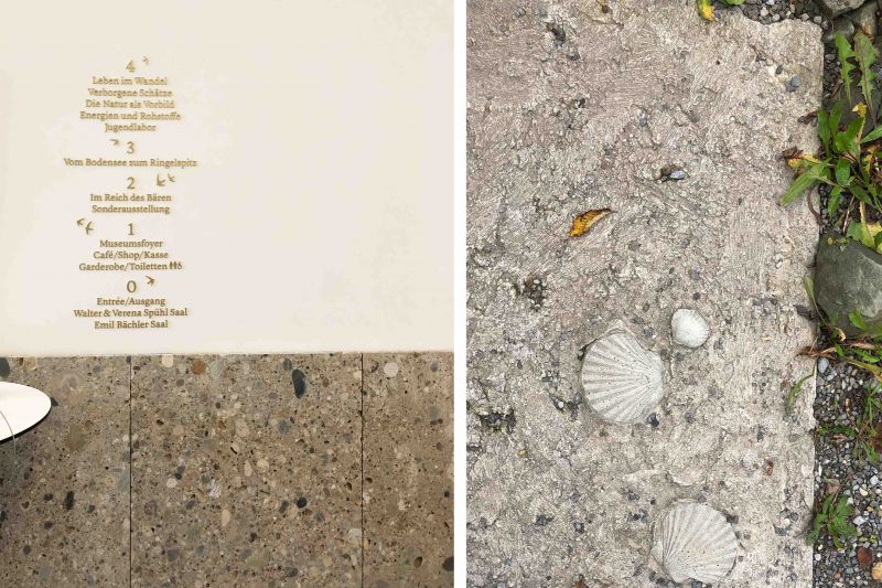 Texturas orgánicas en los muros y pavimentos