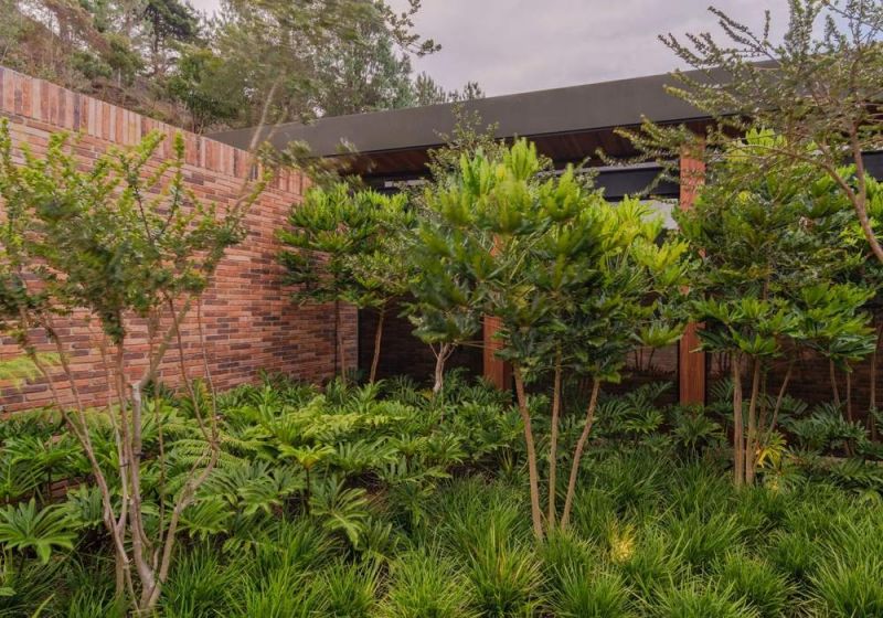 Patio de la Casa E + A