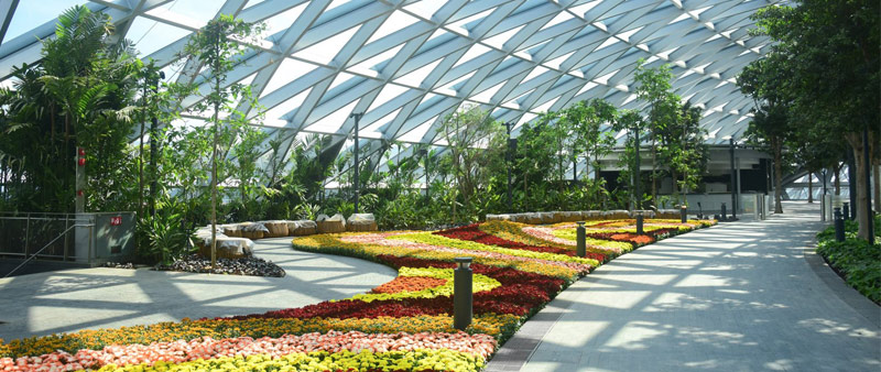 arquitectura, arquitecto, diseño, design, Safdie Architects, aeropuerto, cubierta vidrio, cascada, invernadero, jardines interiores, sostenible, sostenibilidad, Jewel Changi Airport, Singapur