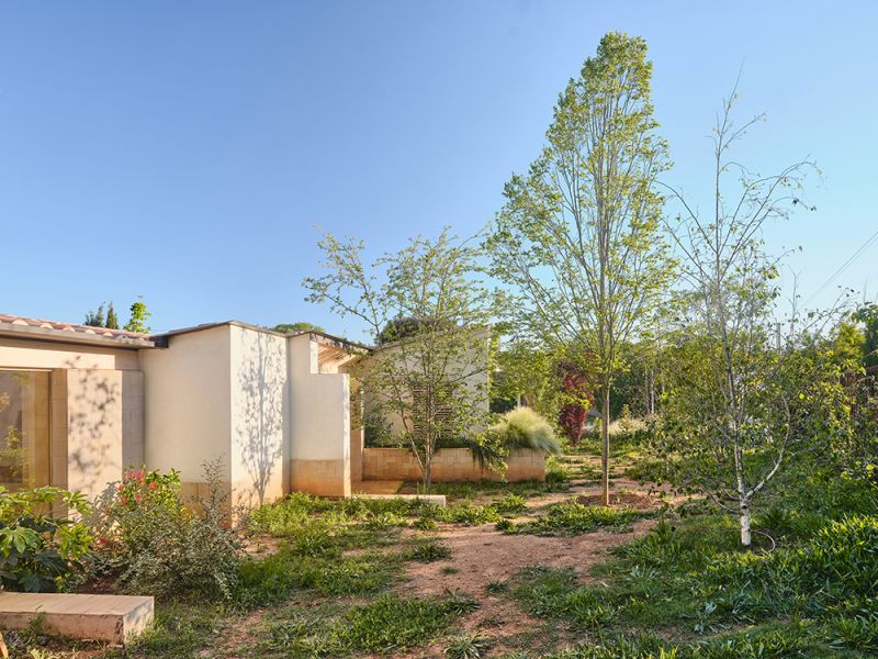 arquitecturayempresa_butterfly_ARBOLADO