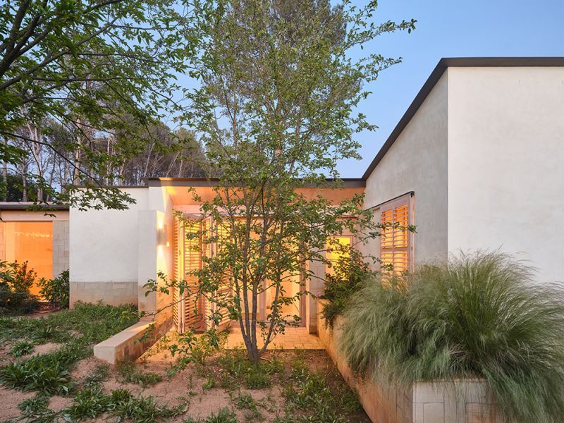 arquitecturayempresa_butterfly_VEGETACIÓN__