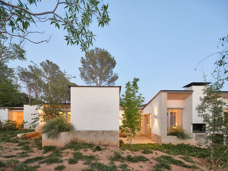 arquitecturayempresa_butterfly_VEGETACIÓN_