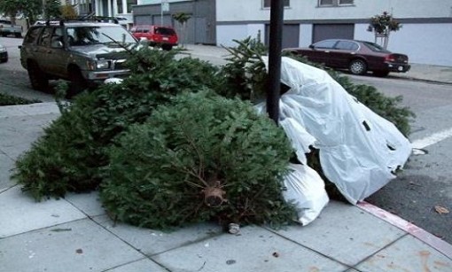 Árbol Navidad, reciclar, ecología