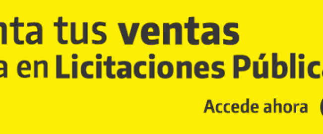 Licitaciones III