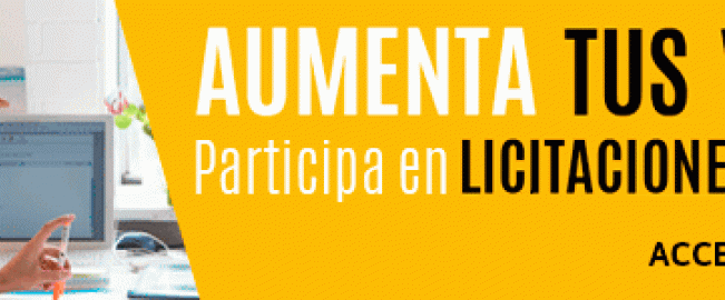 Licitaciones IX