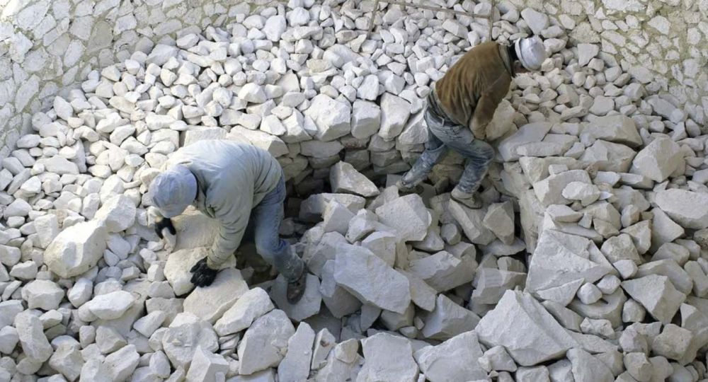 Los caleros, una especie en extinción