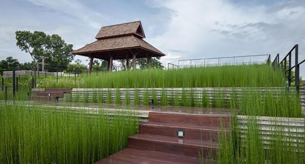 Diseño arquitectónico y ambiental. ASA Lanna Center, Tailandia. Somdoon Architects