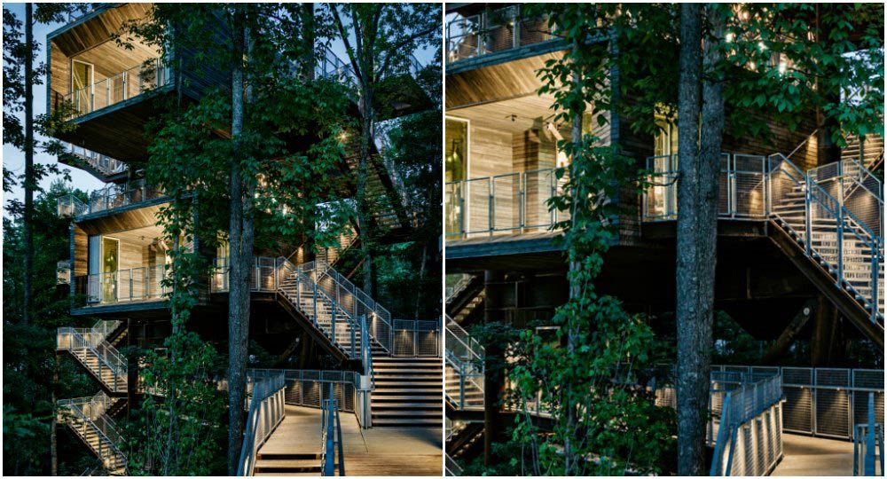 Arquitectura verde. Una casa en el árbol por y para la naturaleza