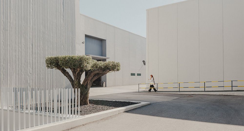 Arkoslight alcanza la neutralidad de carbono y consolida su estrategia de sostenibilidad