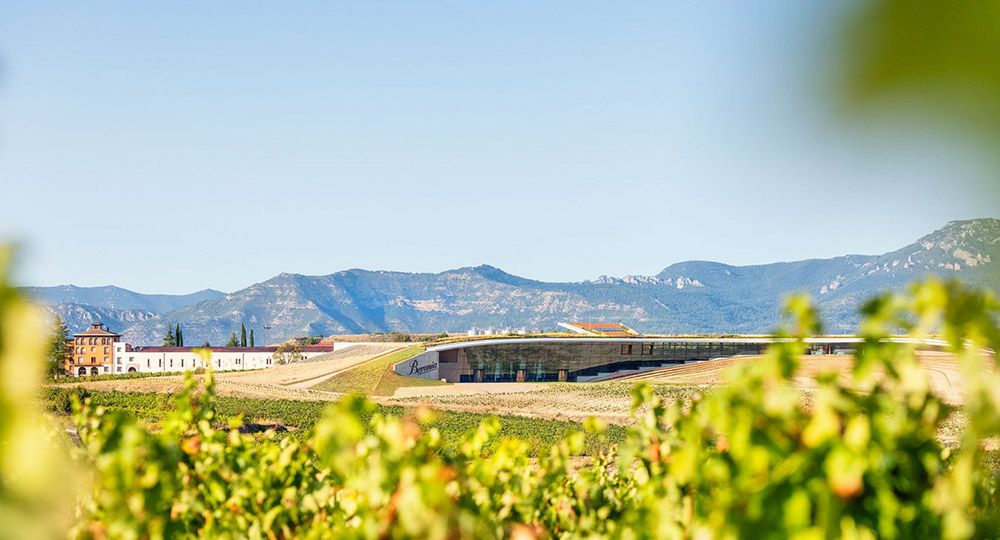 Arquitectura vinícola sostenible