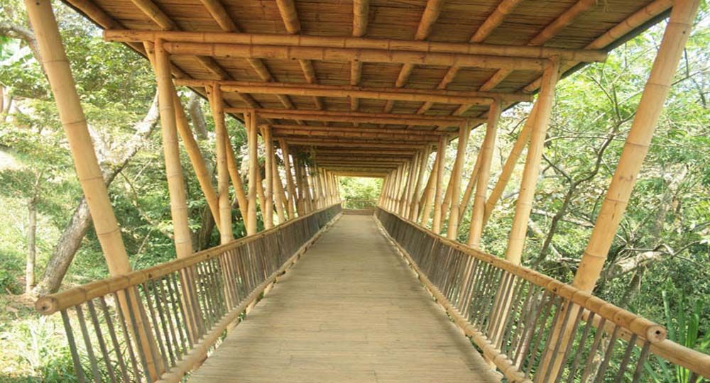 Arquitectura de Guadua (Bambú) en Cali Colombia: “Colegio de las Aguas”