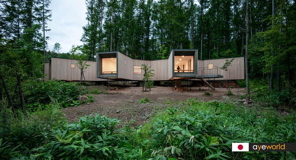 Casa en el Bosque de Florian Busch Architects. Plena inmersión en la naturaleza
