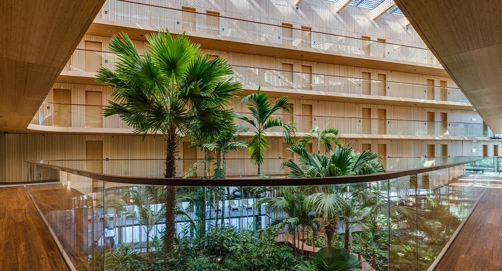 MOSO® Bamboo presenta su nueva identidad de marca: “Building the future with bamboo”