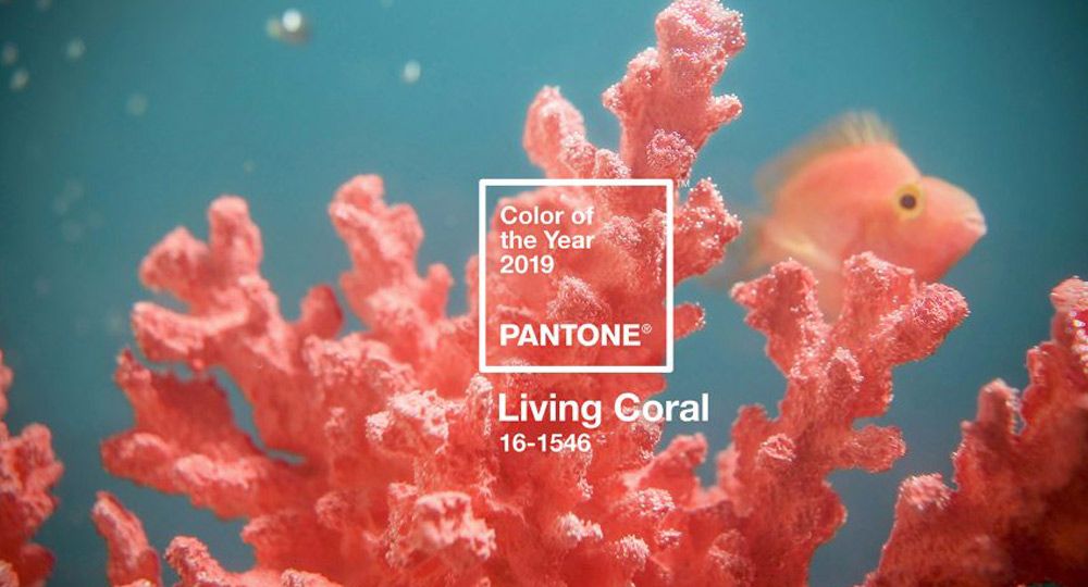 El año 2019 llega de color Living Coral. Pantone anuncia el nuevo color del año