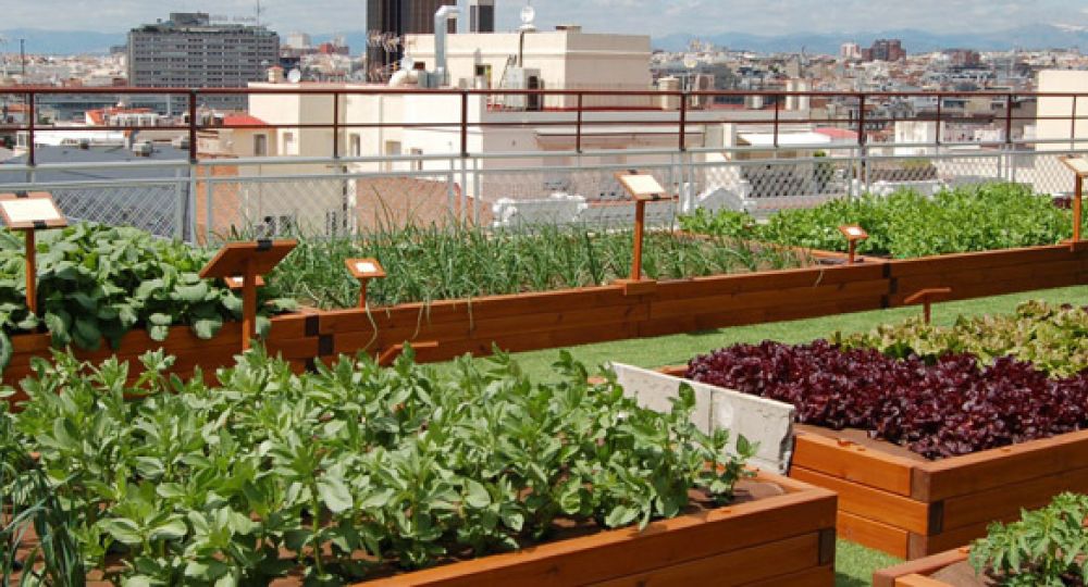 Huertos urbanos, jardines comestibles, ciudades sostenibles ...