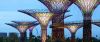Supertrees, Grant Associates