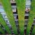 Arquitectura verde vertical. Jardín vertical del biólogo y botánico Ignacio Solano