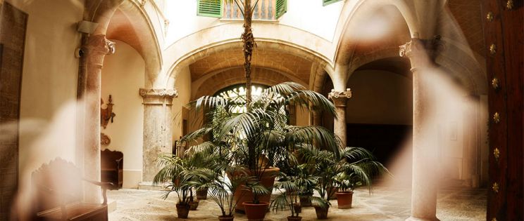 Tendencias en el diseño de jardines: sostenibilidad y bajo mantenimiento Tendencias en el diseño de jardines: sostenibilidad y bajo mantenimiento