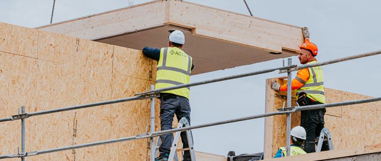 El futuro de la madera contra la crisis climática y de vivienda