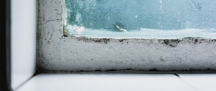 Rehabilitación de edificios históricos en Valencia: Desafíos técnicos y soluciones contemporáneas