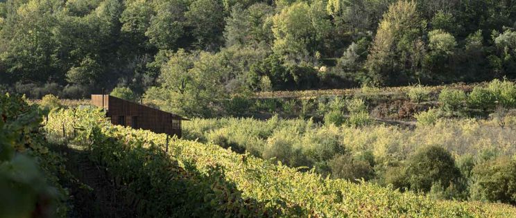 Un antiguo lagar, el perfecto refugio entre viñedos