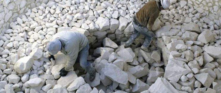 Los caleros, una especie en extinción