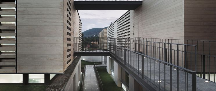 ACCOYA. La madera del futuro