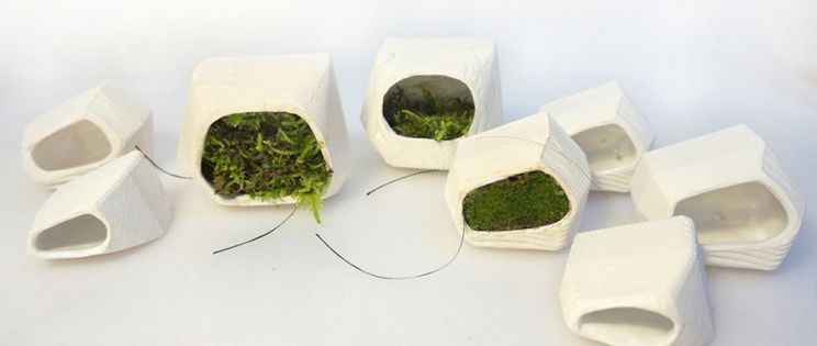 El futuro de la arquitectura biológica y sostenible: nuevo módulo de fachada verde productor de energía biofotovoltaica.