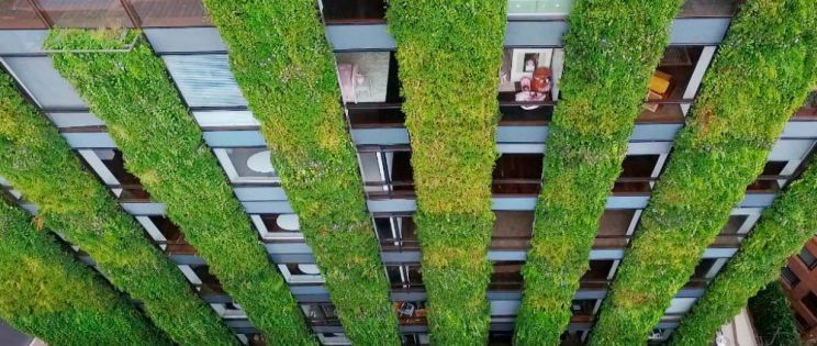 Arquitectura verde vertical. Jardín vertical del biólogo y botánico Ignacio Solano