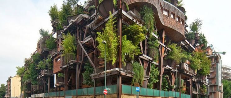 La Casa Árbol de Luciano Pia. Arquitectura verde y sostenible