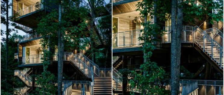 Arquitectura verde. Una casa en el árbol por y para la naturaleza