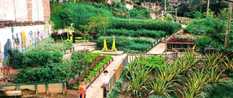 Basureros transformados en  jardines públicos: Medellín, Colombia.